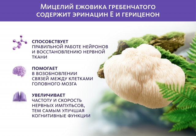 Сибирский концентрат №3 «Нейроживитель» Indo Medica MeiTan