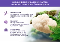 Сибирский концентрат №3 «Нейроживитель» Indo Medica MeiTan