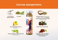 Монодоза-концентрат RevеX ЗАМЕСТИТЕЛЬНАЯ ДОФАМИНОВАЯ ТЕРАПИЯ NutriTOP MeiTan